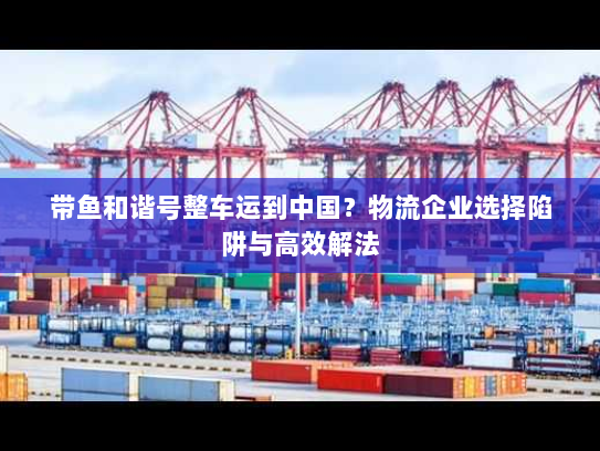 带鱼和谐号整车运到中国？物流企业选择陷阱与高效解法