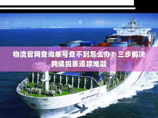 物流官网查询单号查不到怎么办?三步解决跨境包裹追踪难题 物流官网查询单号查不到怎么办?三步解决跨境包裹追踪难题