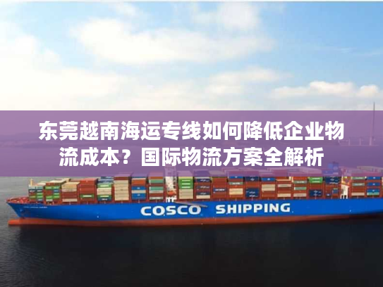 东莞越南海运专线如何降低企业物流成本？国际物流方案全解析