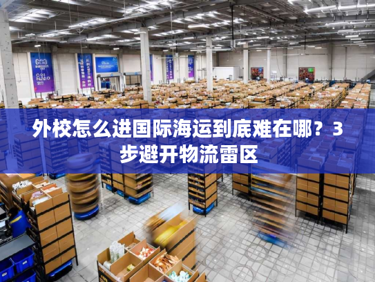外校怎么进国际海运到底难在哪？3步避开物流雷区