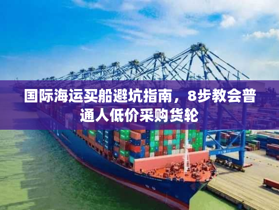 国际海运买船避坑指南，8步教会普通人低价采购货轮