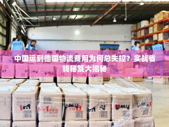 中国运到德国物流费用为何总失控？实战省钱秘笈大揭秘