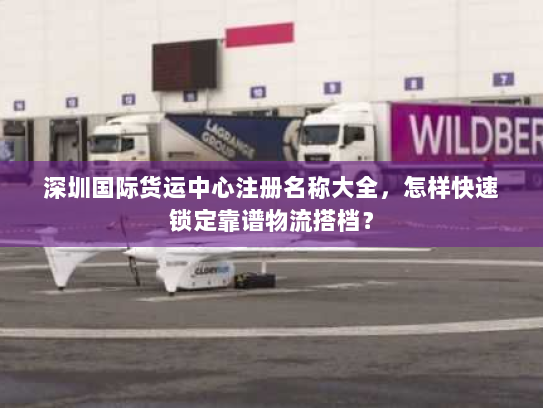 深圳国际货运中心注册名称大全，怎样快速锁定靠谱物流搭档？