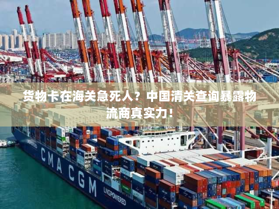 货物卡在海关急死人?中国清关查询暴露物流商真实力! 货物卡在海关急死人?中国清关查询暴露物流商真实力!
