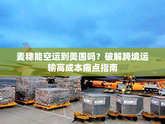 麦穗能空运到美国吗?破解跨境运输高成本痛点指南 麦穗能空运到美国吗?破解跨境运输高成本痛点指南