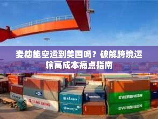 麦穗能空运到美国吗？破解跨境运输高成本痛点指南