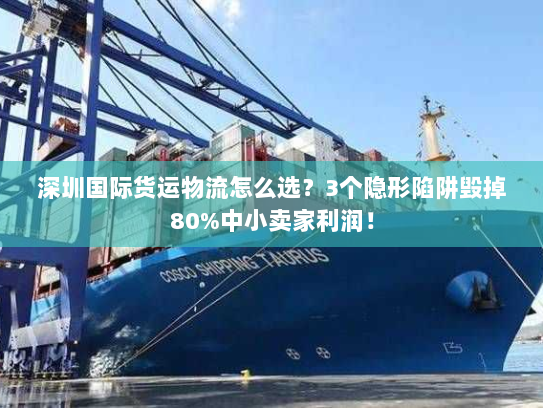 深圳国际货运物流怎么选？3个隐形陷阱毁掉80%中小卖家利润！