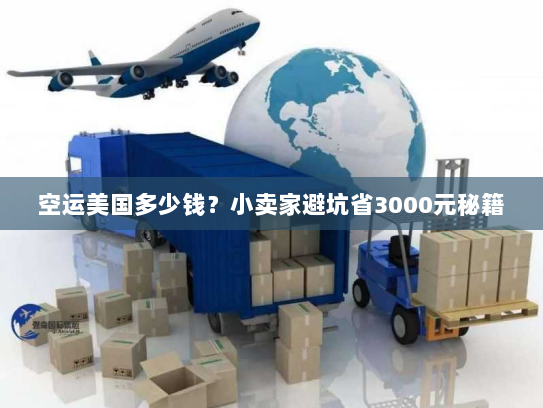 空运美国多少钱?小卖家避坑省3000元秘籍 空运美国多少钱?小卖家避坑省3000元秘籍
