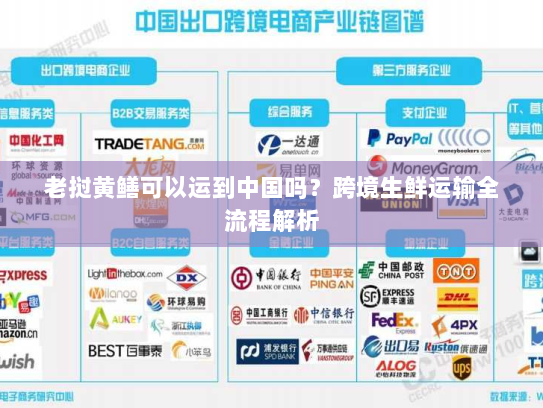 老挝黄鳝可以运到中国吗?跨境生鲜运输全流程解析 老挝黄鳝可以运到中国吗?跨境生鲜运输全流程解析
