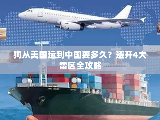 狗从美国运到中国要多久？避开4大雷区全攻略