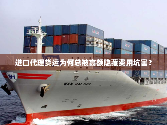 进口代理货运为何总被高额隐藏费用坑害? 进口代理货运为何总被高额隐藏费用坑害?