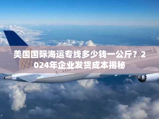美国国际海运专线多少钱一公斤?2024年企业发货成本揭秘 美国国际海运专线多少钱一公斤?2024年企业发货成本揭秘