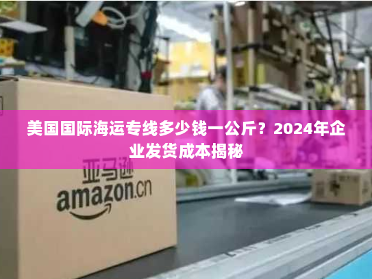 美国国际海运专线多少钱一公斤？2024年企业发货成本揭秘