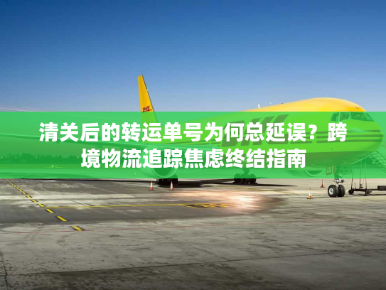清关后的转运单号为何总延误？跨境物流追踪焦虑终结指南