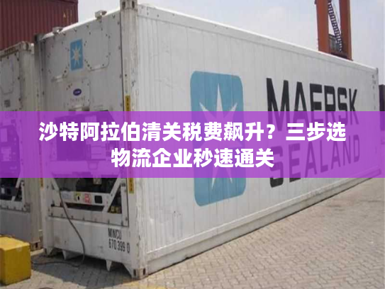 沙特阿拉伯清关税费飙升？三步选物流企业秒速通关