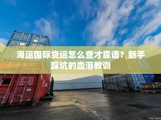 海运国际货运怎么查才靠谱？新手踩坑的血泪教训