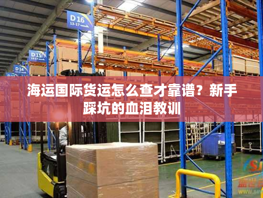 海运国际货运怎么查才靠谱？新手踩坑的血泪教训
