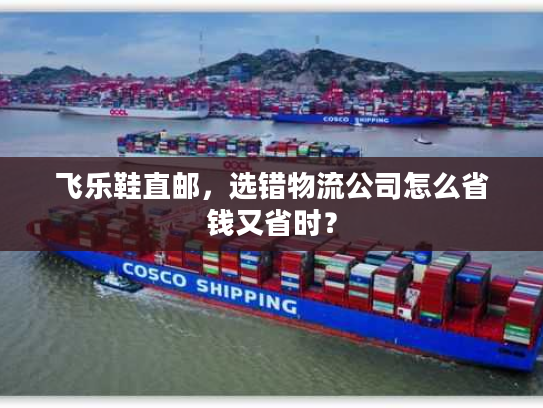 飞乐鞋直邮，选错物流公司怎么省钱又省时？