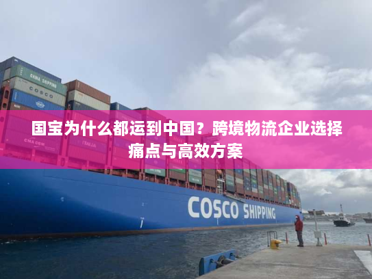 国宝为什么都运到中国?跨境物流企业选择痛点与高效方案 国宝为什么都运到中国?跨境物流企业选择痛点与高效方案
