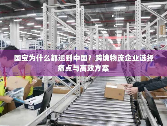国宝为什么都运到中国?跨境物流企业选择痛点与高效方案 国宝为什么都运到中国?跨境物流企业选择痛点与高效方案