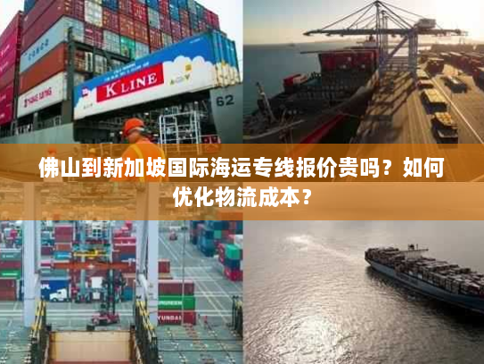 佛山到新加坡国际海运专线报价贵吗?如何优化物流成本? 佛山到新加坡国际海运专线报价贵吗?如何优化物流成本?
