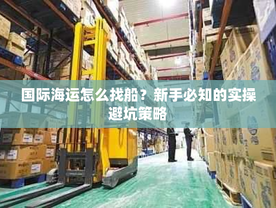 国际海运怎么找船?新手必知的实操避坑策略 国际海运怎么找船?新手必知的实操避坑策略