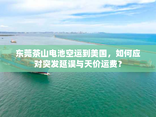 东莞茶山电池空运到美国，如何应对突发延误与天价运费？