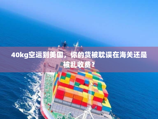40kg空运到美国，你的货被耽误在海关还是被乱收费？