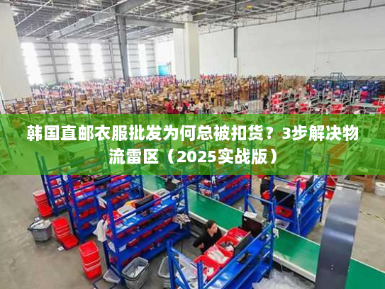 韩国直邮衣服批发为何总被扣货？3步解决物流雷区（2025实战版）