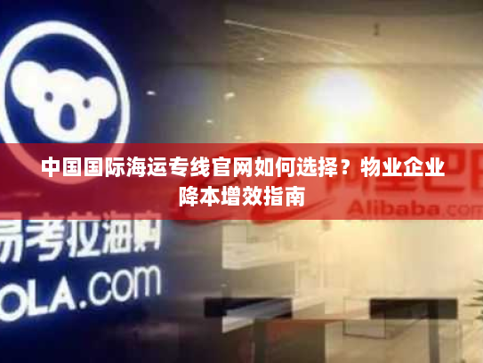 中国国际海运专线官网如何选择？物业企业降本增效指南