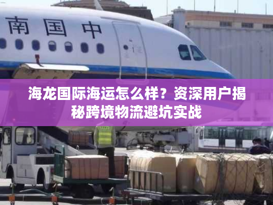 海龙国际海运怎么样？资深用户揭秘跨境物流避坑实战