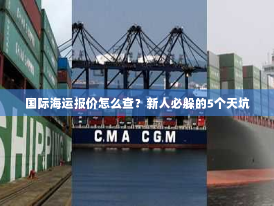 国际海运报价怎么查?新人必躲的5个天坑 国际海运报价怎么查?新人必躲的5个天坑