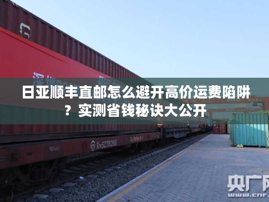 日亚顺丰直邮怎么避开高价运费陷阱？实测省钱秘诀大公开