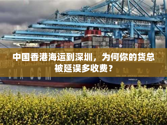 中国香港海运到深圳，为何你的货总被延误多收费？