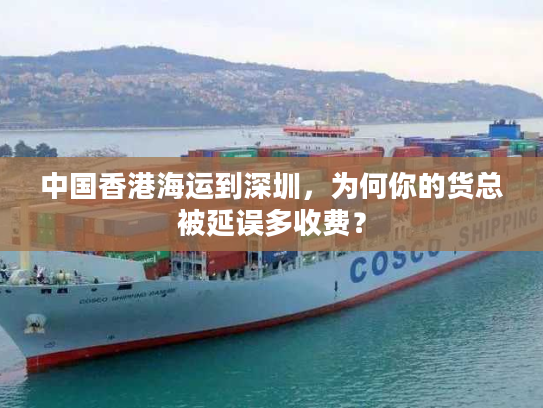 中国香港海运到深圳，为何你的货总被延误多收费？