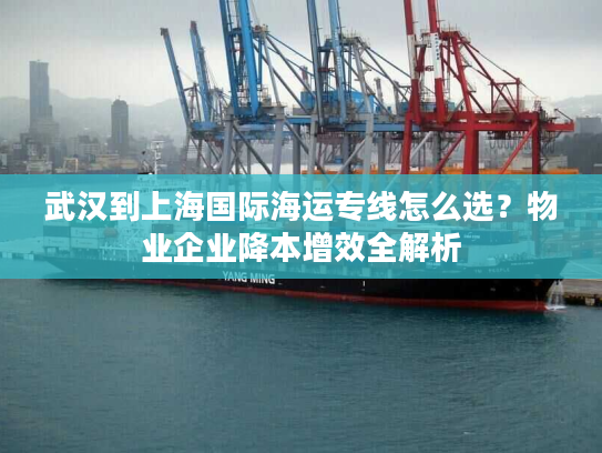 武汉到上海国际海运专线怎么选?物业企业降本增效全解析 武汉到上海国际海运专线怎么选?物业企业降本增效全解析