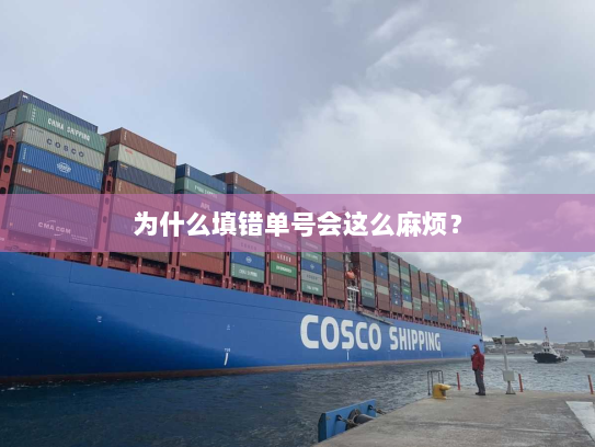 为什么填错单号会这么麻烦? 为什么填错单号会这么麻烦?