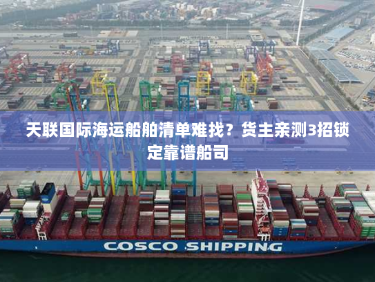 天联国际海运船舶清单难找?货主亲测3招锁定靠谱船司 天联国际海运船舶清单难找?货主亲测3招锁定靠谱船司