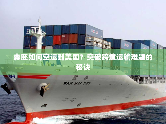 囊胚如何空运到美国?突破跨境运输难题的秘诀 囊胚如何空运到美国?突破跨境运输难题的秘诀