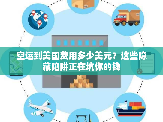 空运到美国费用多少美元?这些隐藏陷阱正在坑你的钱 空运到美国费用多少美元?这些隐藏陷阱正在坑你的钱