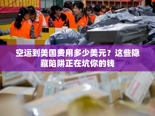 空运到美国费用多少美元?这些隐藏陷阱正在坑你的钱 空运到美国费用多少美元?这些隐藏陷阱正在坑你的钱