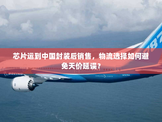 芯片运到中国封装后销售，物流选择如何避免天价延误？