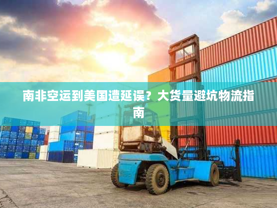 南非空运到美国遭延误?大货量避坑物流指南 南非空运到美国遭延误?大货量避坑物流指南