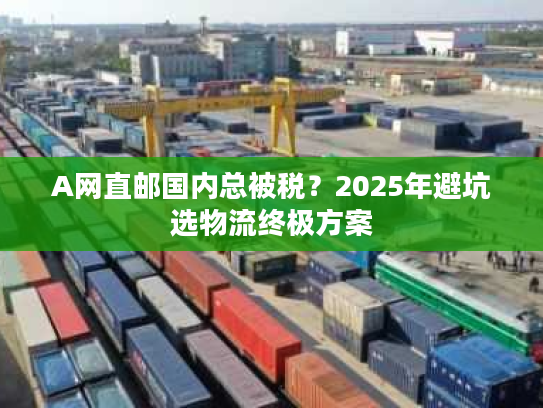 A网直邮国内总被税？2025年避坑选物流终极方案