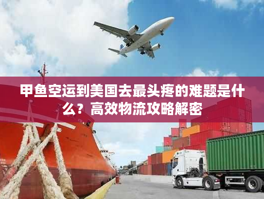 甲鱼空运到美国去最头疼的难题是什么？高效物流攻略解密