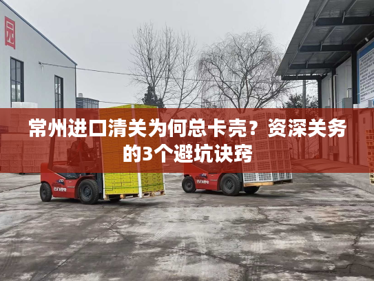 常州进口清关为何总卡壳?资深关务的3个避坑诀窍 常州进口清关为何总卡壳?资深关务的3个避坑诀窍