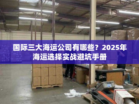国际三大海运公司有哪些？2025年海运选择实战避坑手册