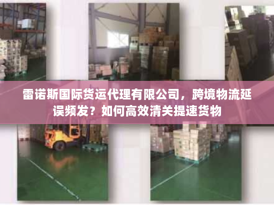 雷诺斯国际货运代理有限公司,跨境物流延误频发?如何高效清关提速货物 雷诺斯国际货运代理有限公司,跨境物流延误频发?如何高效清关提速货物