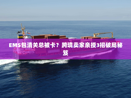 EMS包清关总被卡？跨境卖家亲授3招破局秘笈