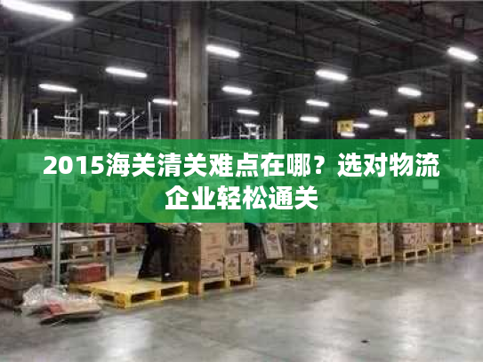 2015海关清关难点在哪?选对物流企业轻松通关 2015海关清关难点在哪?选对物流企业轻松通关